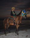 Horsecycle 2023
